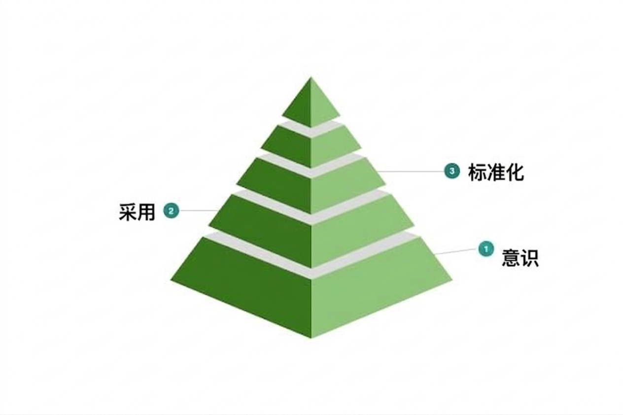 示例数据文化成熟度模型的第三级。