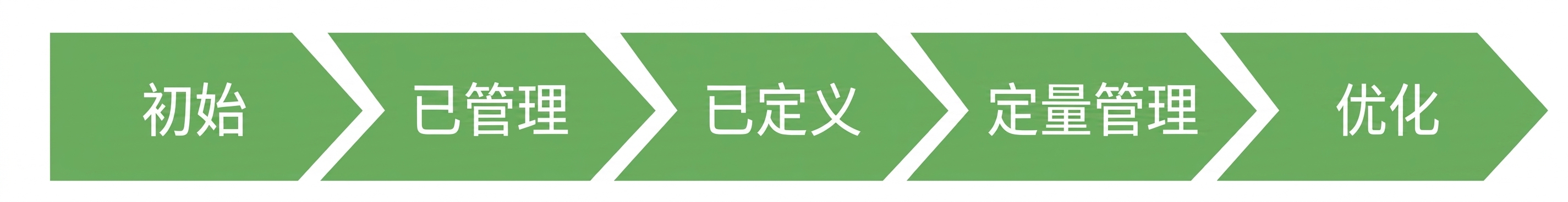 IBM 数据成熟度模型
