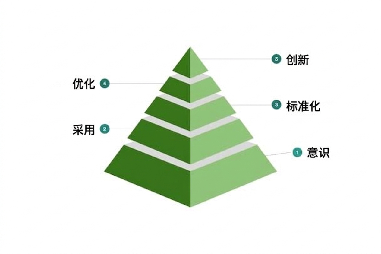 示例数据文化成熟度模型的第五级。