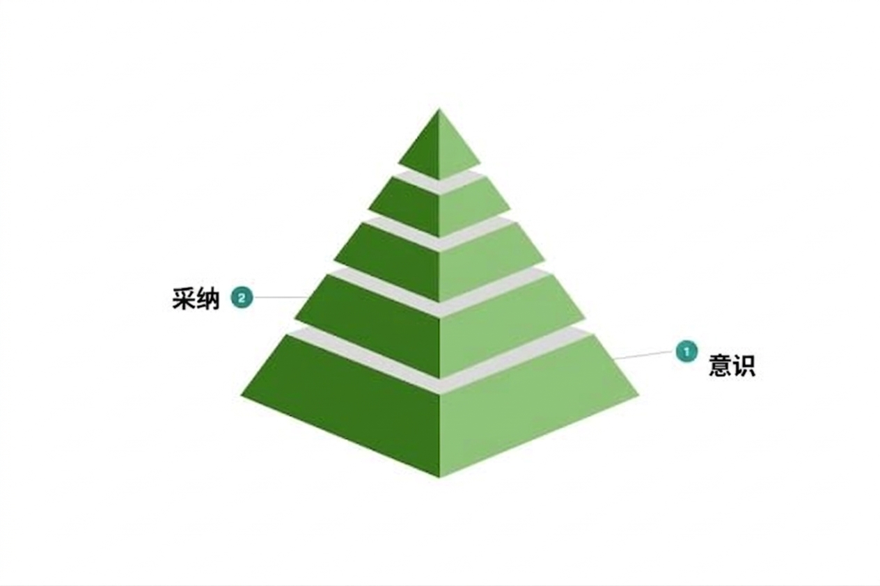 示例数据文化成熟度模型的第二级。