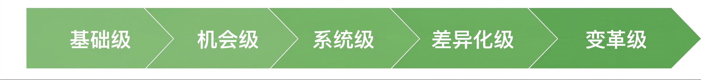 Gartner 数据成熟度模型