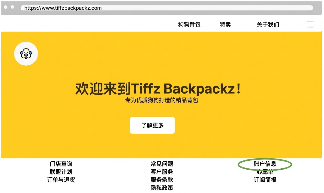 Tiffz Backpackz 登陆页上的账户信息