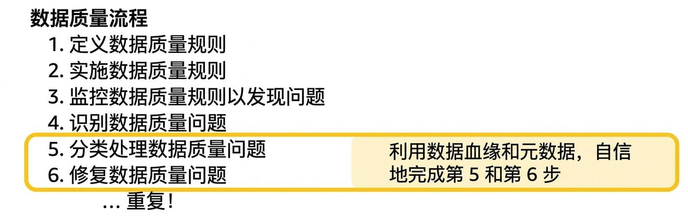 突出分诊与修复步骤的数据质量流程