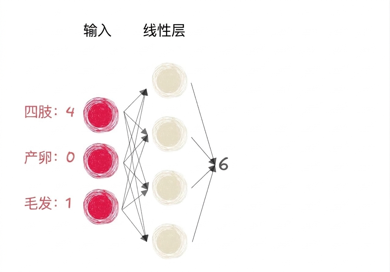 部分神经网络的示意图，包含输入和线性层输出为数字 6