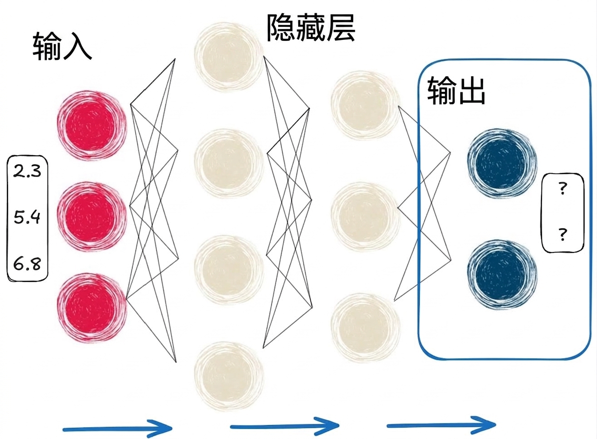 突出最终输出的前向传播示意