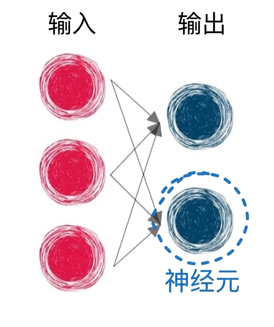 带有连接箭头并圈出一个输出神经元的输入层和输出层示意图