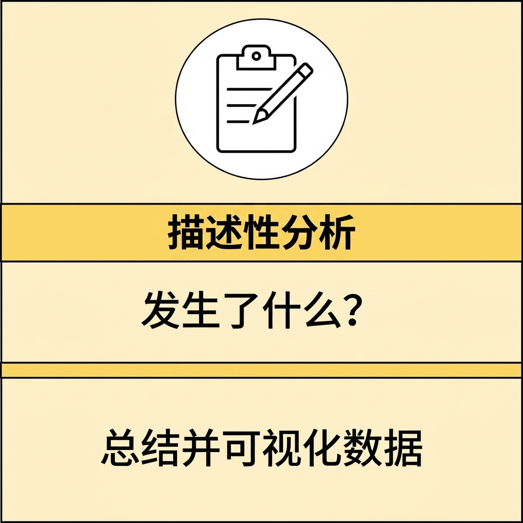 描述性分析概览图
