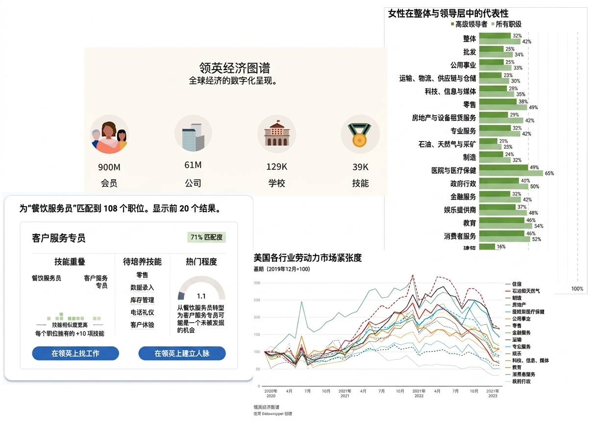LinkedIn 经济图谱项目的多项功能拼贴图。