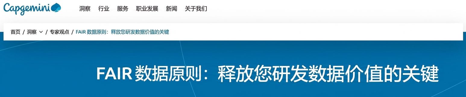 Capgemini 在 FAIR 数据原则方面工作的截图。