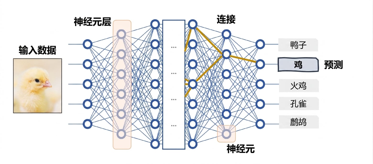 深度神经网络作为黑盒模型