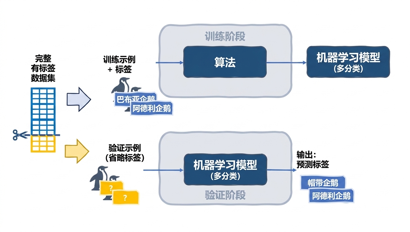 用测试样本验证模型