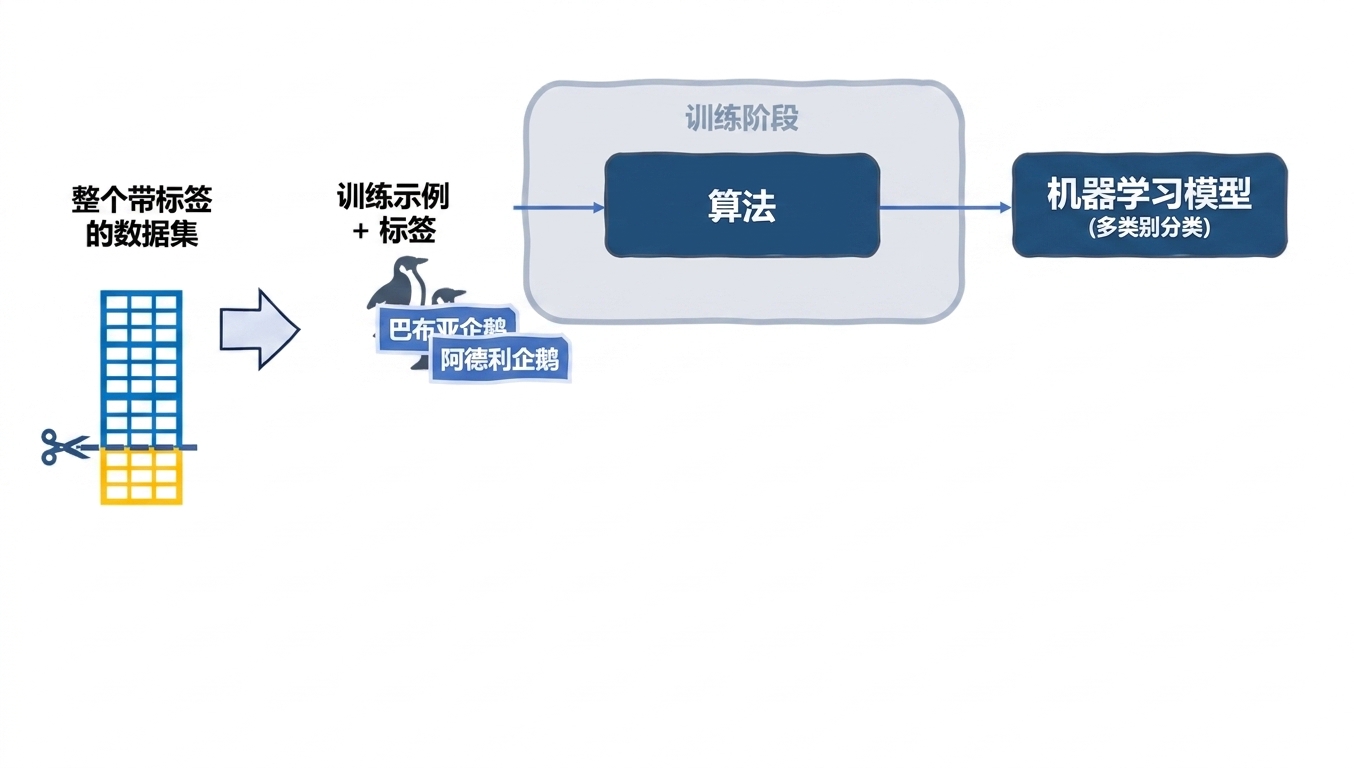 训练模型
