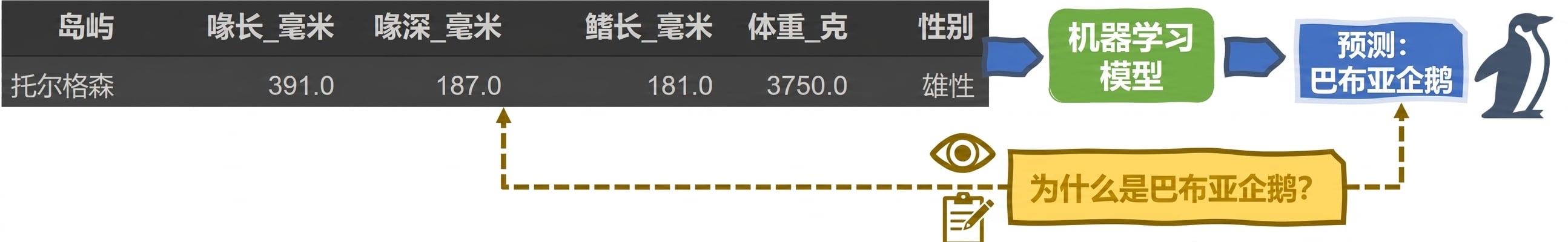 用于企鹅分类的 ML 可解释性