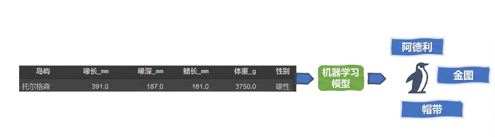 多类分类