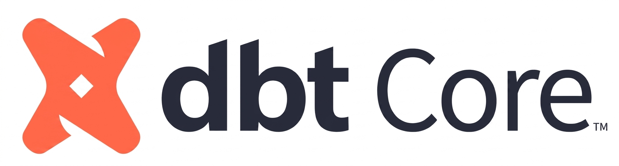 dbt core 标志