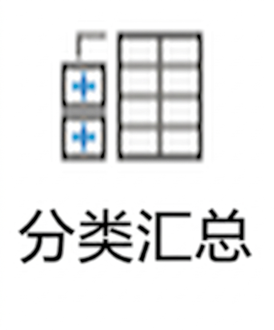 Excel 中"分类汇总"按钮的图像。
