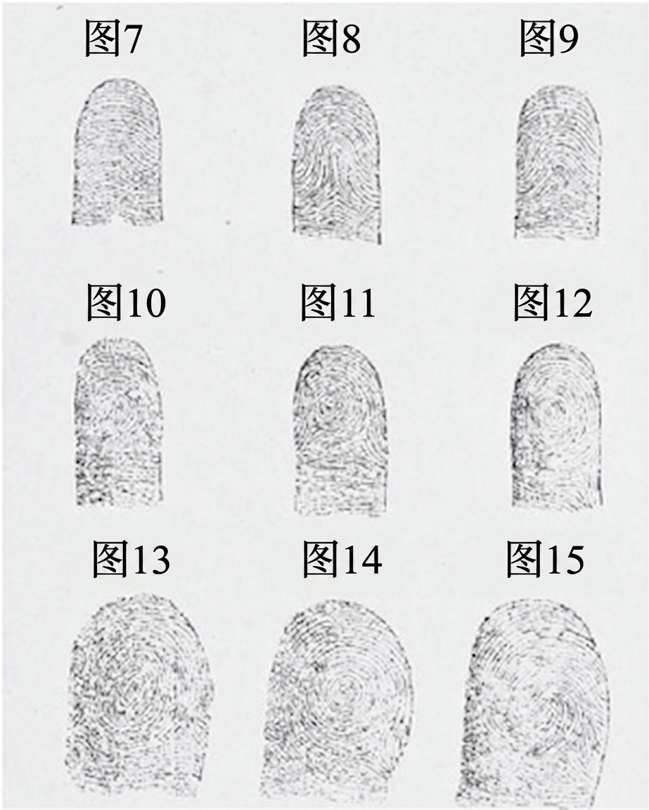 一系列指纹