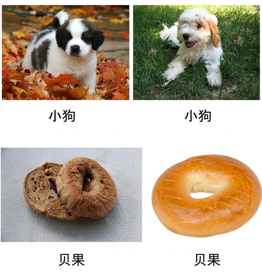 四张带标签的图片：两只小狗和两个百吉饼