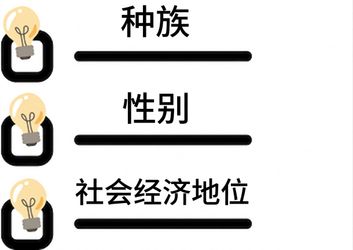 一张包含种族、性别和社会经济地位的清单。