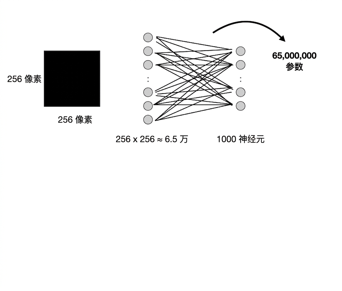 图像与该层之间有 6500 万个连接。