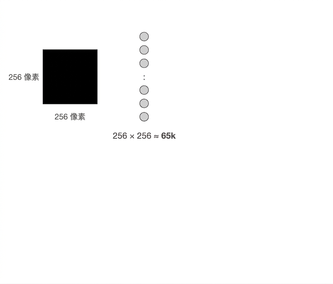 一张 256×256 的灰度图像约含 65k 个像素值。