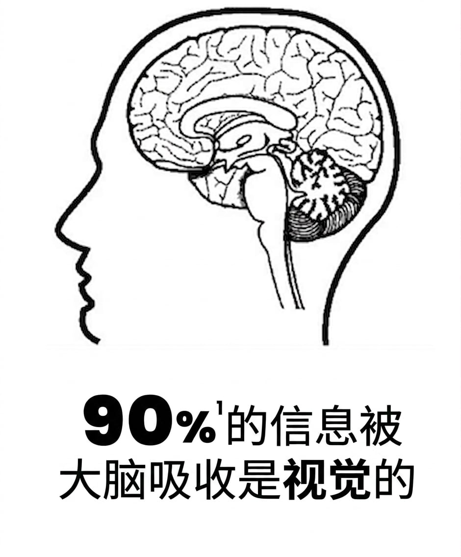 人脑图片