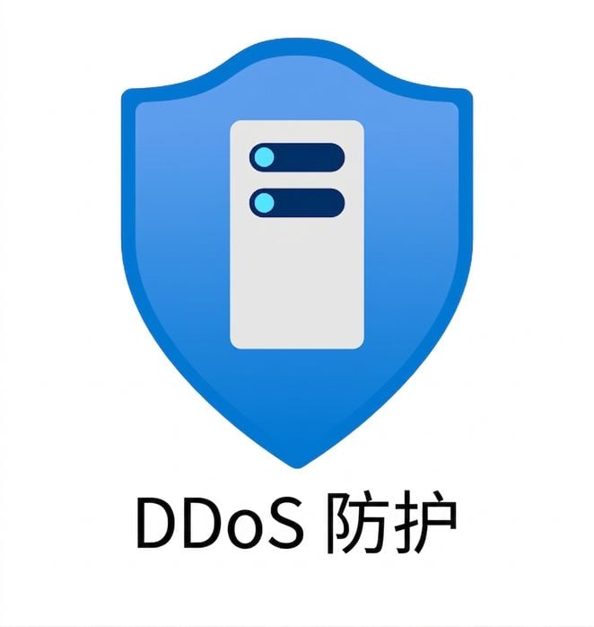蓝色盾牌，下面写有 ddos protection