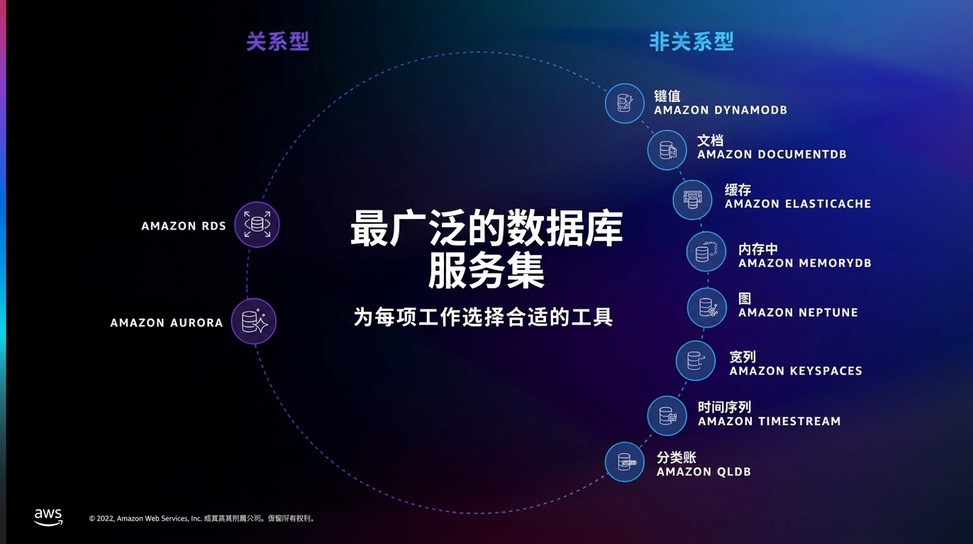 展示 RDS 与 DynamoDB 之外的各类数据库服务的图像
