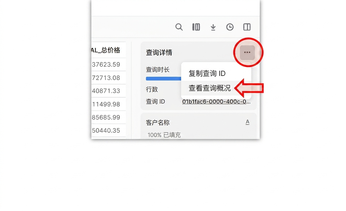 查找查询概要的操作指引