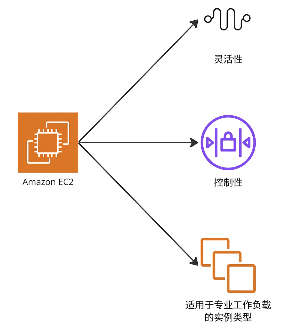 一张分支图,突出 EC2 的灵活性、控制力和专用实例类型。