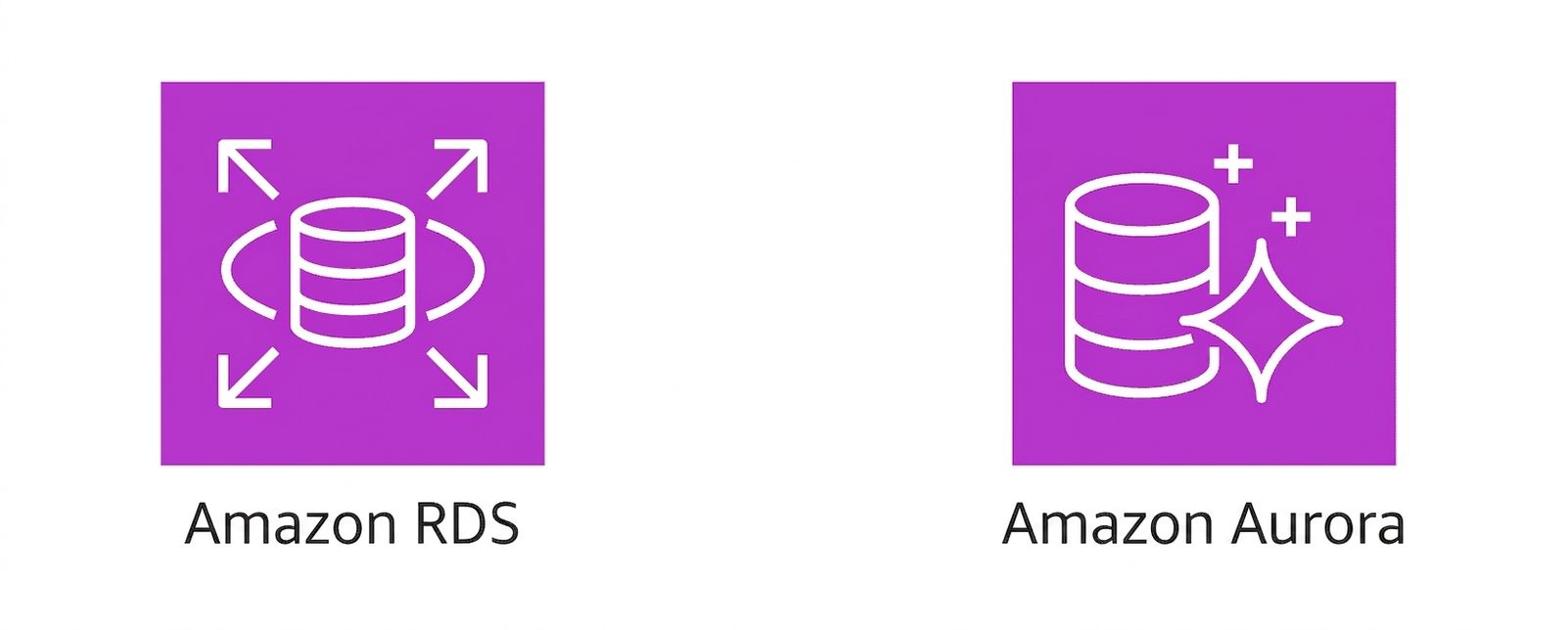 显示 Amazon RDS 和 Amazon Aurora 的两个图标。