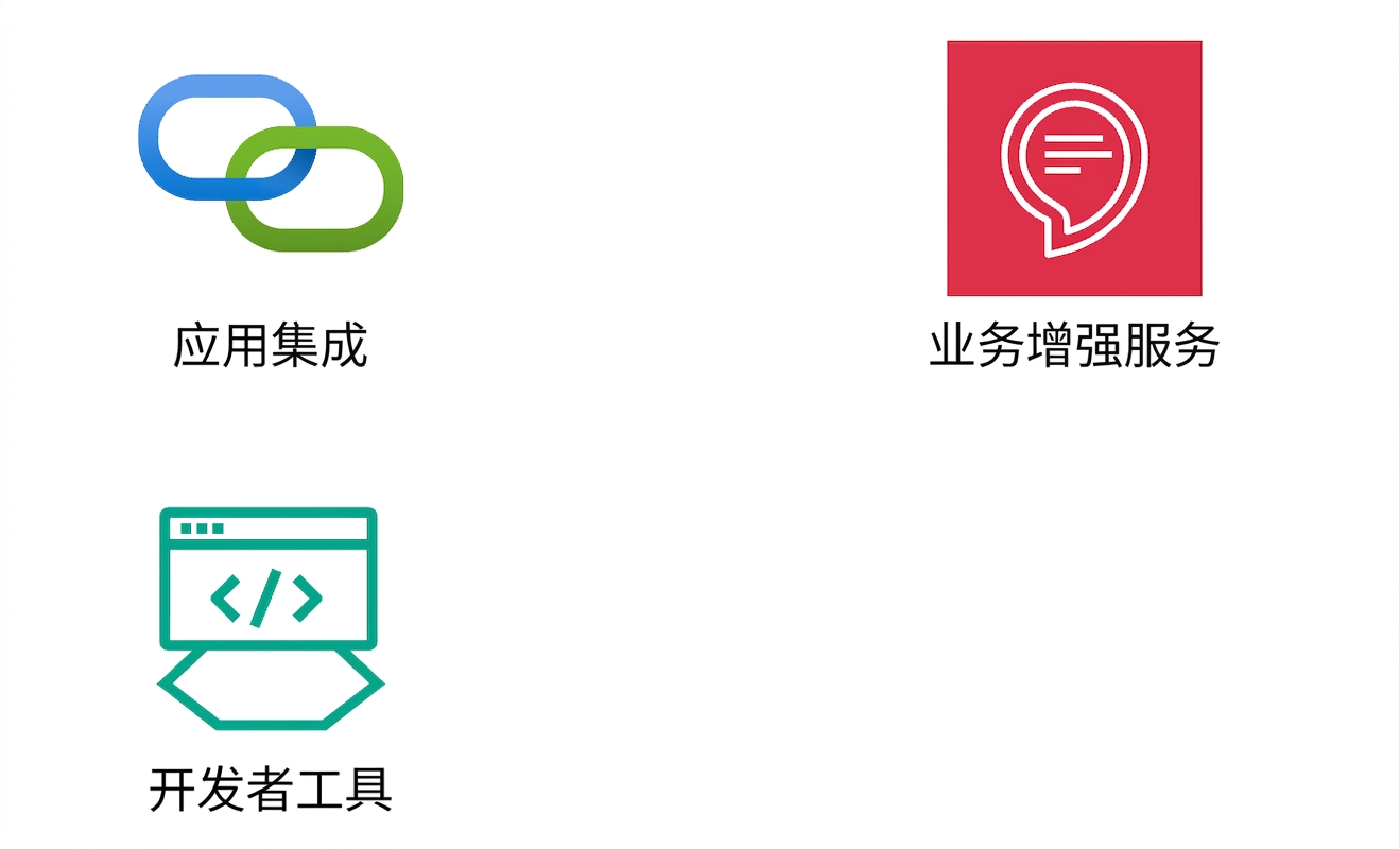 显示开发者工具的图标。