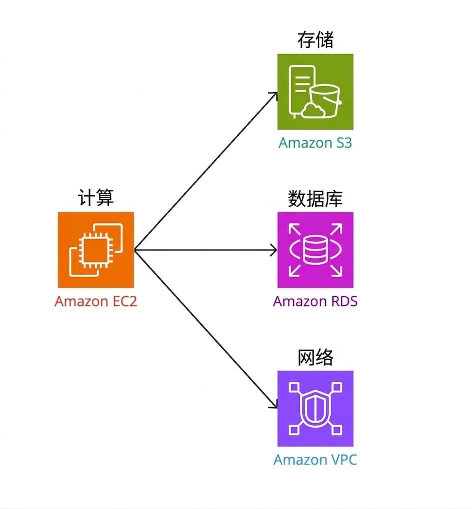 分支图示，展示计算与存储、数据库和网络的连接。