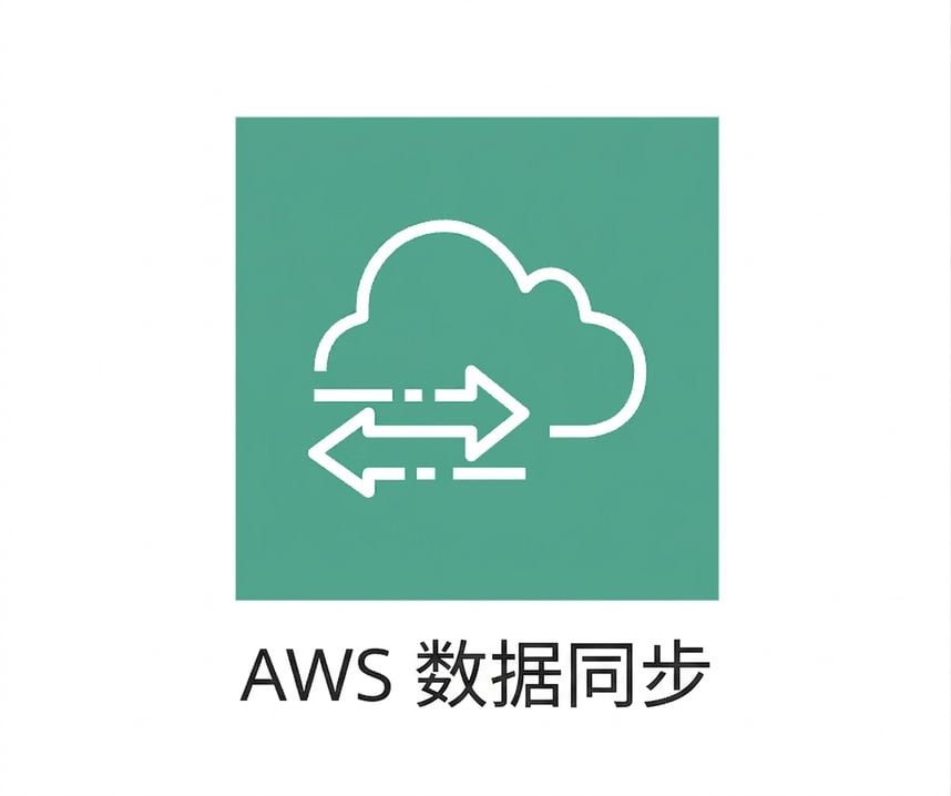 显示 AWS DataSync 的图标。
