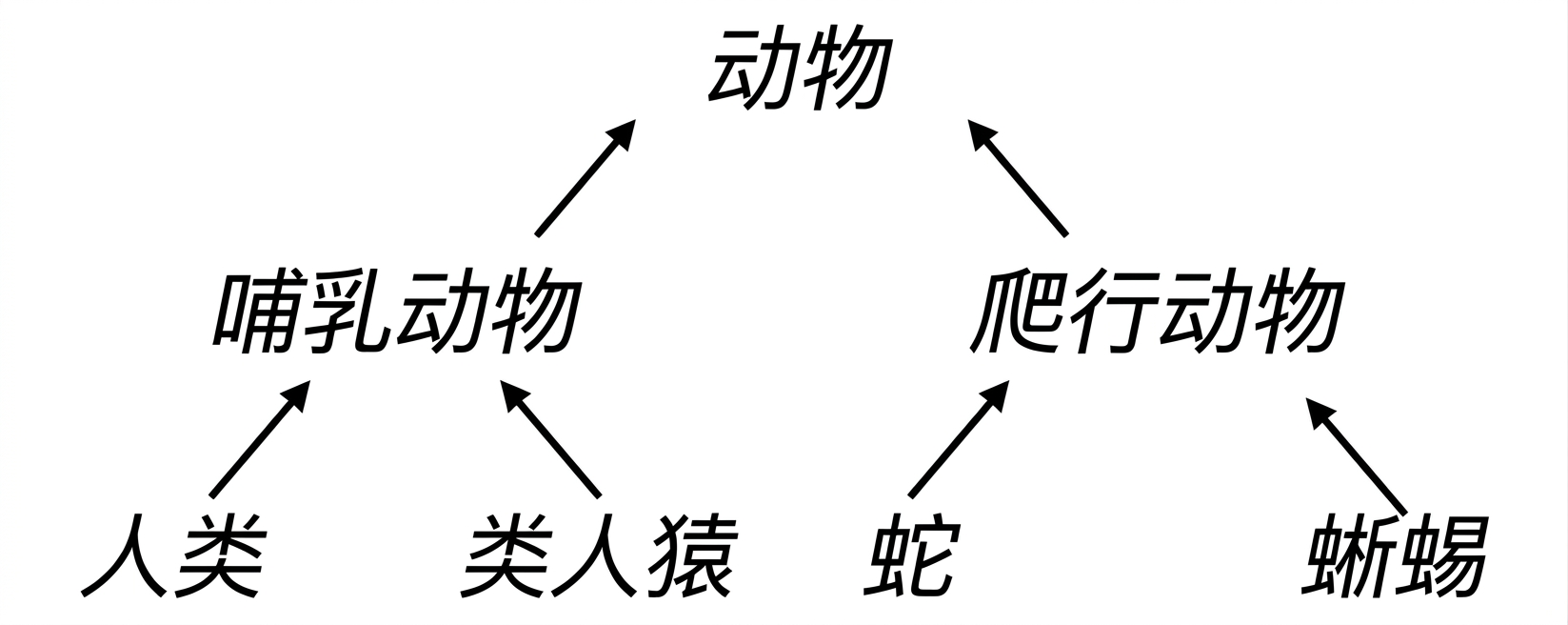 动物的层级树