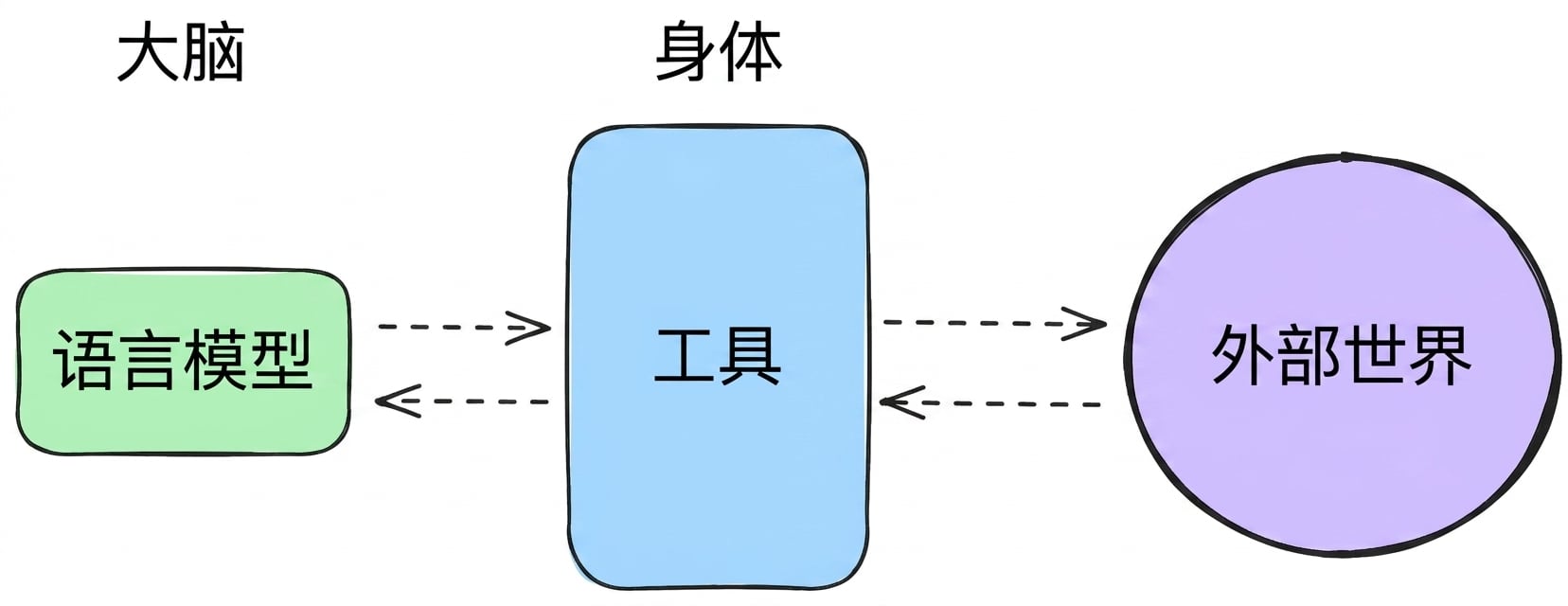 brain_body