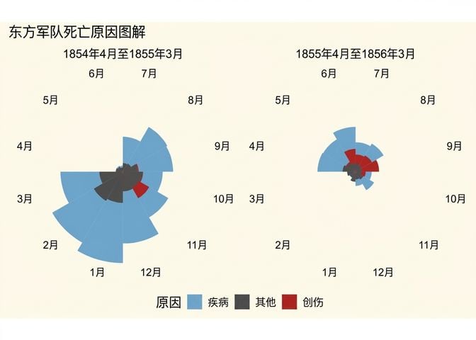 南丁格尔伤亡图