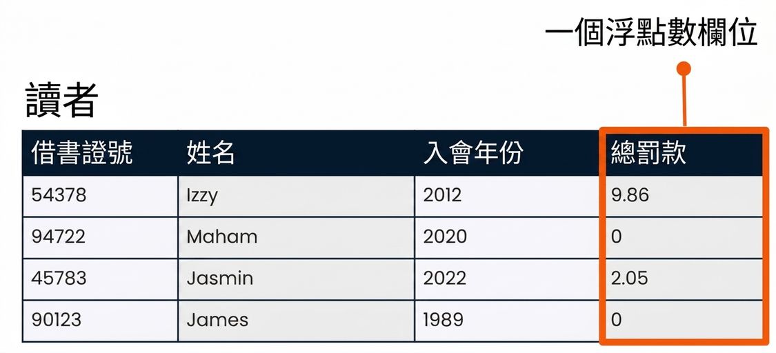 patrons 資料表，total_fine 欄位以浮點數欄位為例高亮