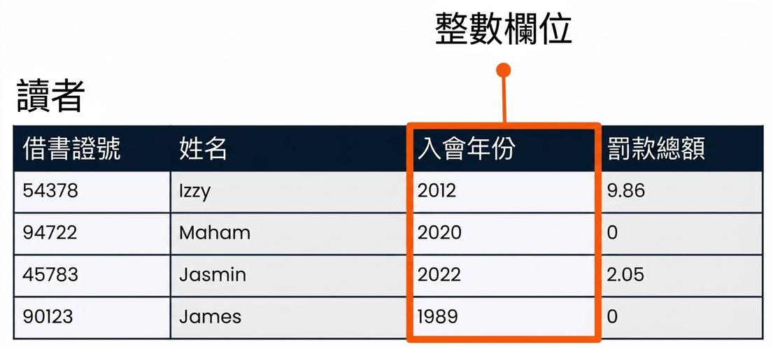 patrons 資料表，member_year 欄位以整數欄位為例高亮
