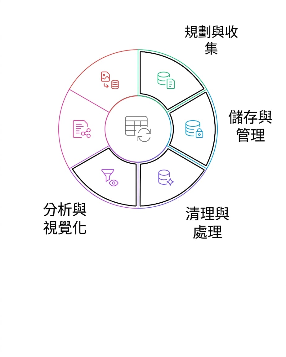 資料生命週期：分析與視覺化
