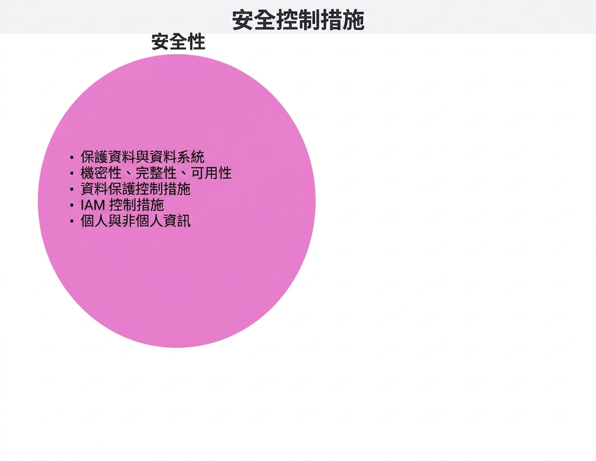 資安控制圓圈