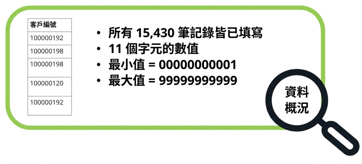 資料剖析範例