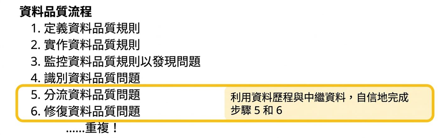 資料品質流程，著重分級與修復步驟