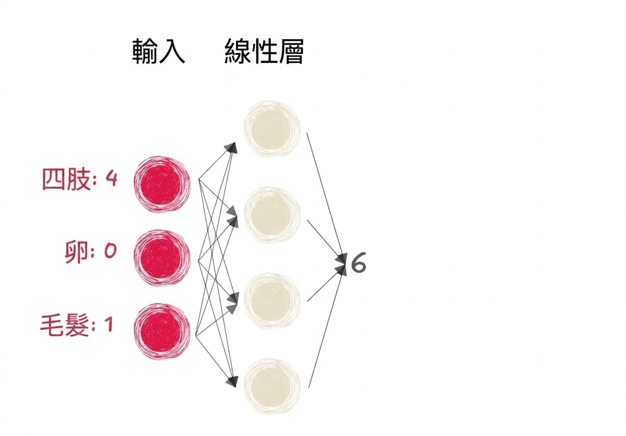 包含輸入與線性層輸出為 6 的部分神經網路示意圖