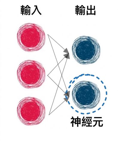 輸入層與輸出層,以箭頭連接並圈選一個輸出神經元