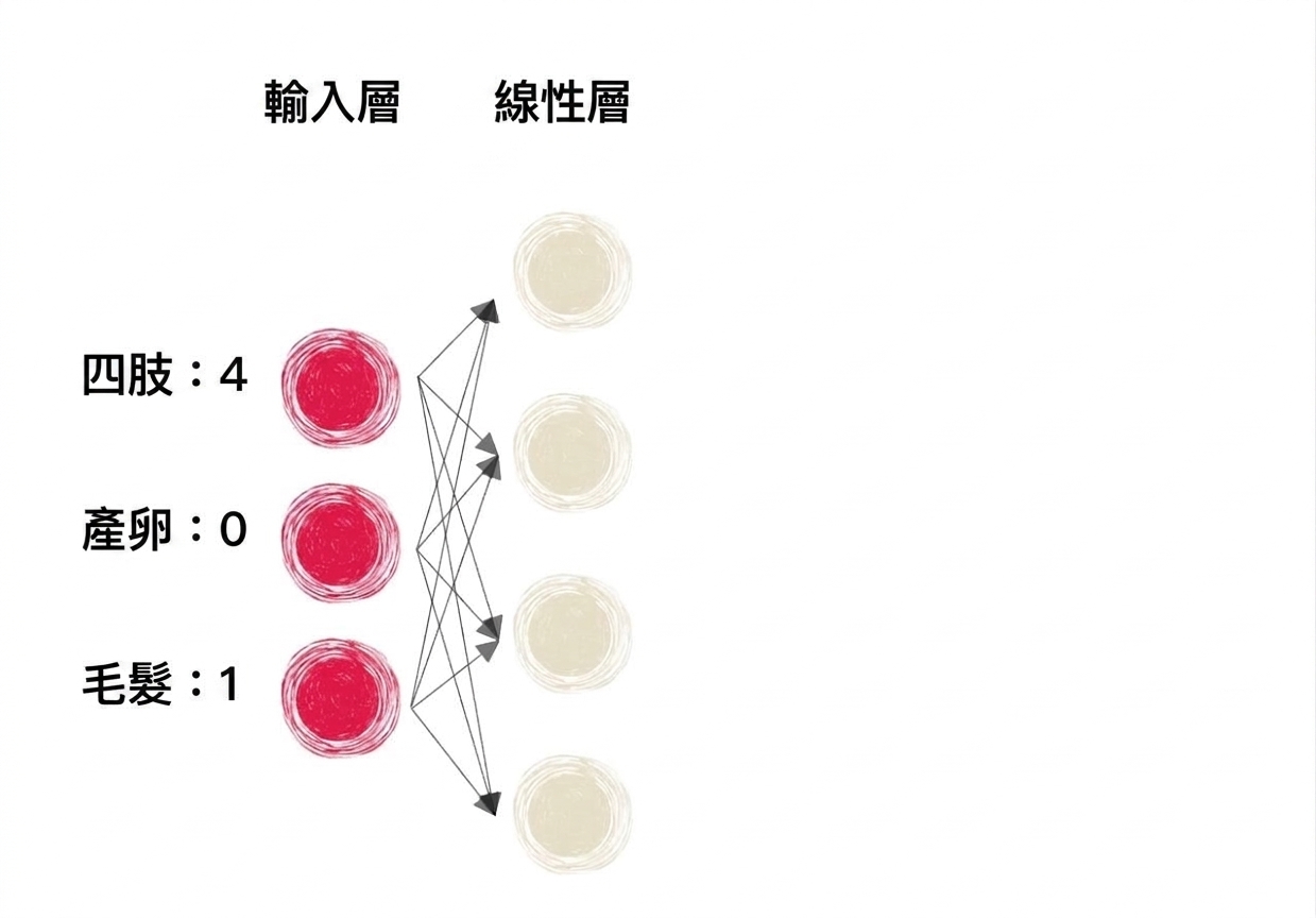 包含輸入與線性層的部分神經網路示意圖