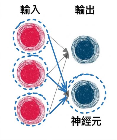 輸入層與輸出層,以箭頭連接並圈選一個輸出神經元且高亮部分連線