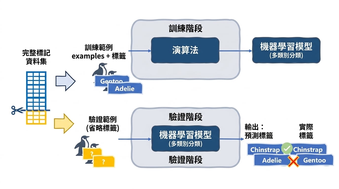 將預測與實際標籤比較