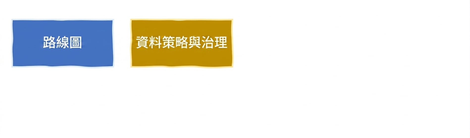 資料策略與治理