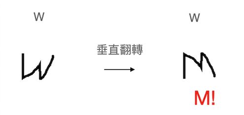 字母「W」垂直翻轉後看起來像字母「M」。